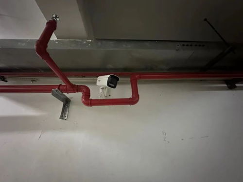 D1 一個時代的序幕